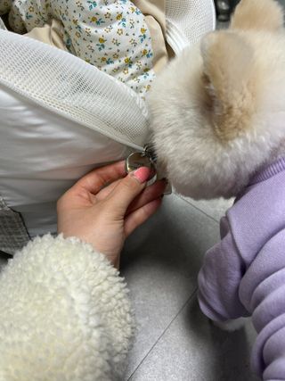 현이님이 올린 리뷰 사진 3
