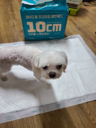 수니니님이 올린 리뷰 사진 3