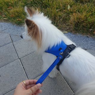 에일린님이 올린 리뷰 사진 3
