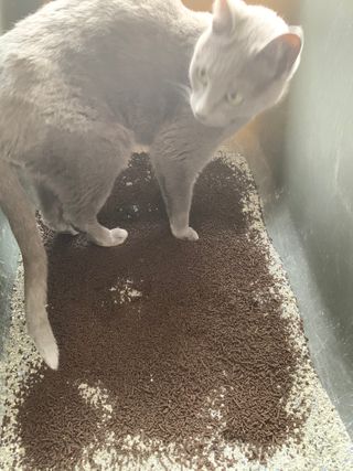 유리권님이 올린 리뷰 사진 1