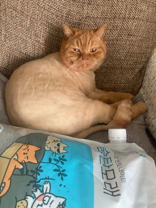 syjuknow님이 올린 리뷰 사진 2
