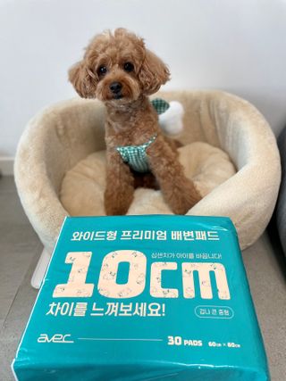 아베크 펫 와이드 프리미엄 대형 애견 강아지 배변 패드 30매 1팩 80g — 5점을 준 리뷰어가 2021년 7월 올린 사용 사진