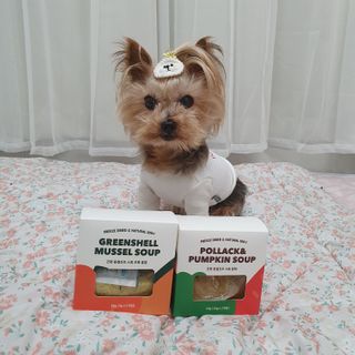 솜희님이 올린 리뷰 사진 1