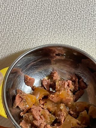 비타크래프트 조에시 하트캔 85g 강아지 습식캔 10캔 — 5점을 준 리뷰어가 2021년 9월 올린 사용 사진