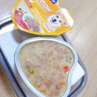 비타크래프트 조에시 하트캔 85g 강아지 습식캔 10캔 — 5점을 준 리뷰어가 2021년 10월 올린 사용 사진