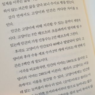 차차TV님이 올린 리뷰 사진 4