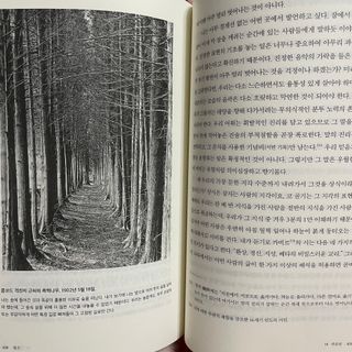 오잉님이 올린 리뷰 사진 3