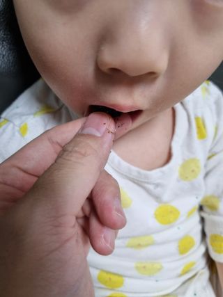 나낙님이 올린 리뷰 사진 3