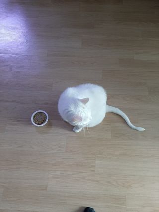 메밀님이 올린 리뷰 사진 3