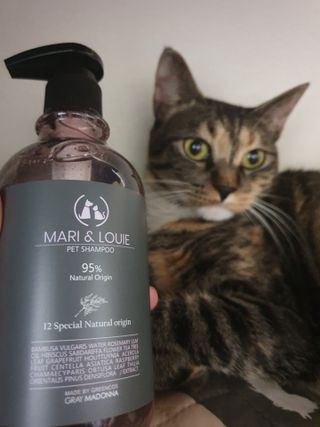 마리앤루이펫샴푸 [mari and louie pet shampoo] — 5점을 준 리뷰어가 2021년 5월 올린 사용 사진