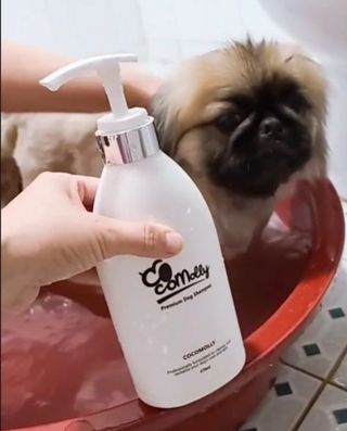 러블리혜교님이 올린 리뷰 사진 2