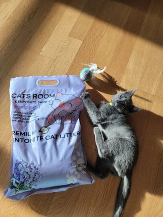 겟플렉스 켓플렉스 캣츠룸BS-1 고양이모래 4kg — 5점을 준 리뷰어가 2021년 1월 올린 사용 사진