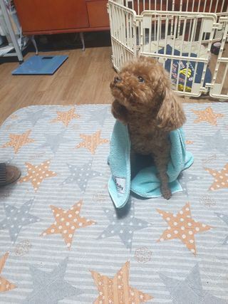 kay님이 올린 리뷰 사진 3
