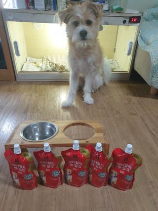 5냥2멍님이 올린 리뷰 사진 1