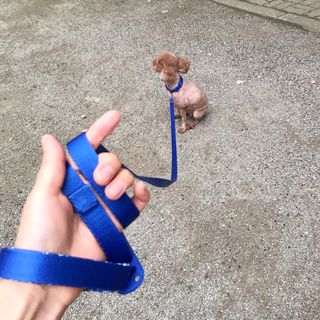 복깨비님이 올린 리뷰 사진 2