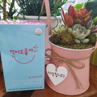 지니님이 올린 리뷰 사진 1