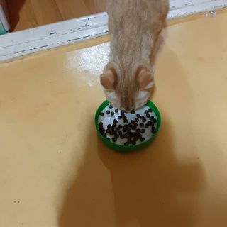 moomoon님이 올린 리뷰 사진 3