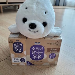 소화가 잘되는 우유 국산 5곡 미숫가루 — 5점을 준 리뷰어가 2021년 9월 올린 사용 사진