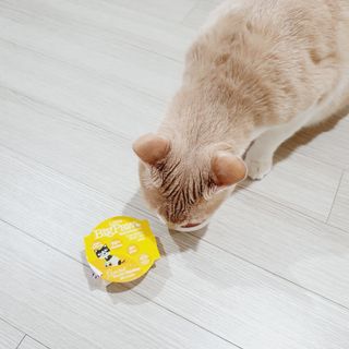 JENNY님이 올린 리뷰 사진 2
