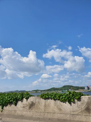 무무아내님이 올린 리뷰 사진 2