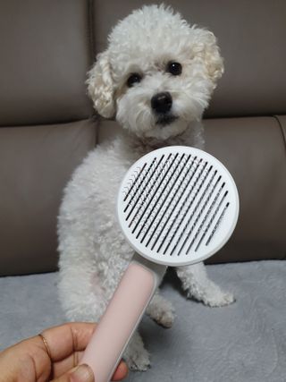 호두맘님이 올린 리뷰 사진 1