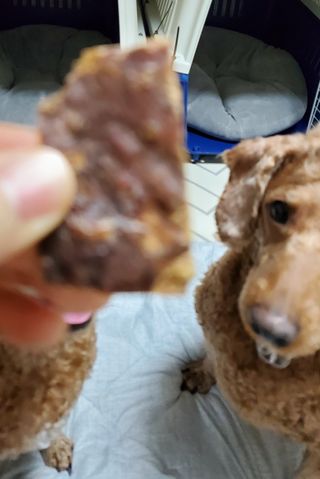 🌈🐩👨‍👩‍👧님이 올린 리뷰 사진 4