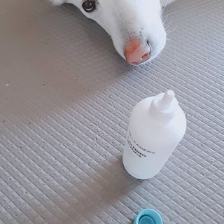 리더스코스메틱 리더스 카밍 바이오틱스 에센스 워터 — 5점을 준 리뷰어가 2021년 3월 올린 사용 사진