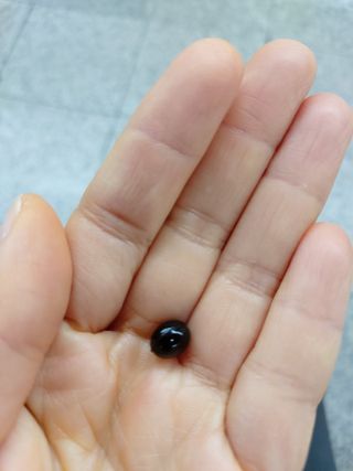 민난길님이 올린 리뷰 사진 2