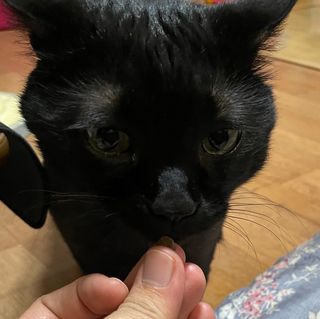 지니님이 올린 리뷰 사진 3