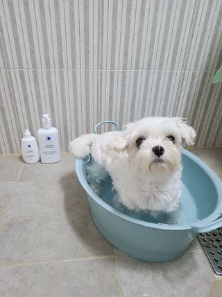 둥가둥가우리도도님이 올린 리뷰 사진 3