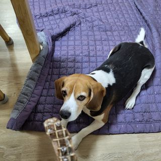 서희님이 올린 리뷰 사진 1