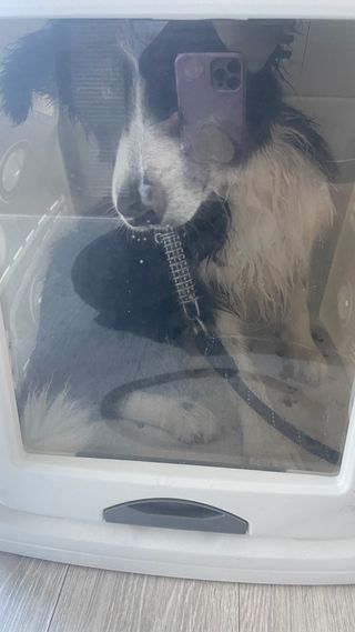 라임님이 올린 리뷰 사진 3