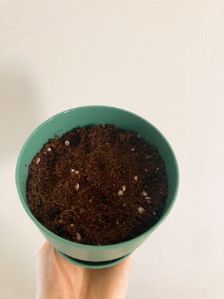 able yoo님이 올린 리뷰 사진 3