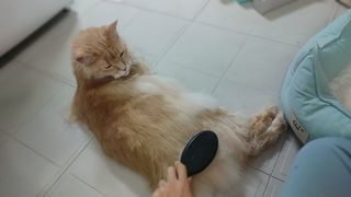 시묘님이 올린 리뷰 사진 3