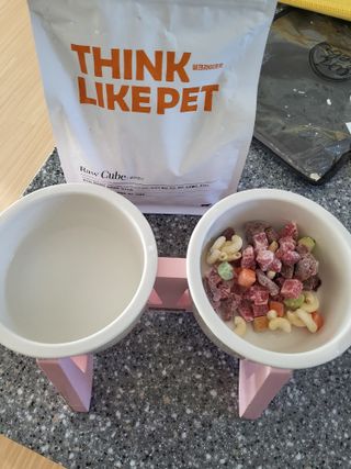 씽크라이크펫 큐브생식 1kg — 4점을 준 리뷰어가 2022년 11월 올린 사용 사진