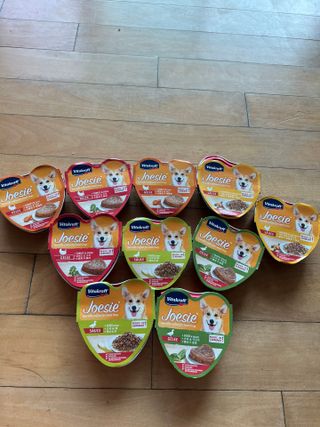 비타크래프트 조에시 하트캔 85g 강아지 습식캔 10캔 — 5점을 준 리뷰어가 2021년 10월 올린 사용 사진