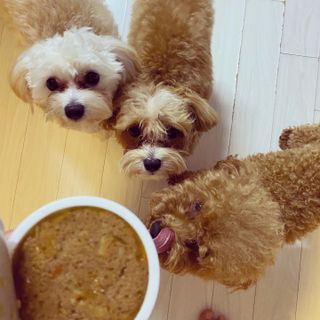 칸쵸님이 올린 리뷰 사진 2