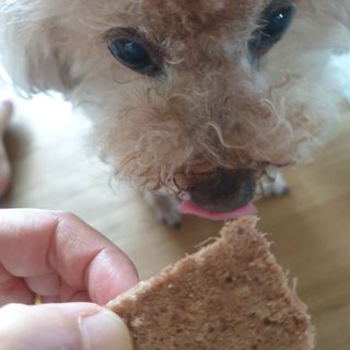 🐕삐딱이💖💖💖님이 올린 리뷰 사진 3