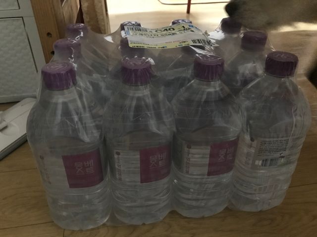 MONTBEST 1L 12입 리뷰 사진