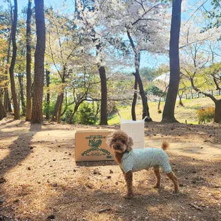 사랑해안시영님이 올린 리뷰 사진 2