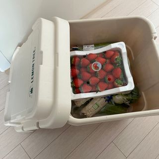 어도러블M님이 올린 리뷰 사진 4