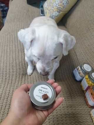 진진이님이 올린 리뷰 사진 3