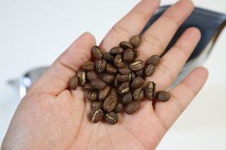 쇼콜라님이 올린 리뷰 사진 2