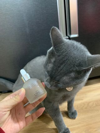 꾸루쿡님이 올린 리뷰 사진 4