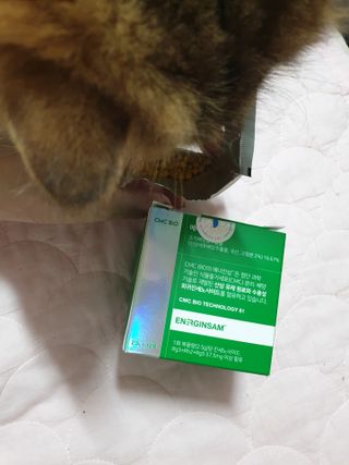 옹알이님이 올린 리뷰 사진 1