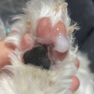 행복한최슨생님이 올린 리뷰 사진 4