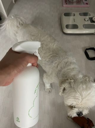 권쁜님이 올린 리뷰 사진 4