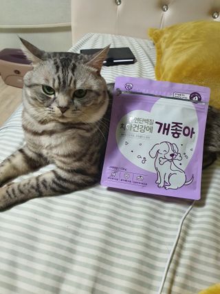My Pet Care 천연단백질 치아건강에 개좋아 — 5점을 준 리뷰어가 2021년 2월 올린 사용 사진