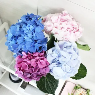 큐빅짱님이 올린 리뷰 사진 2
