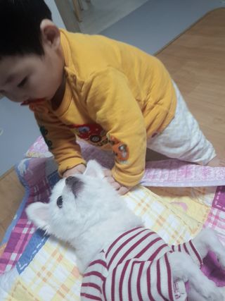 러블님이 올린 리뷰 사진 1